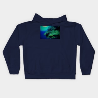 CORAL ANTHIAS OF THE RED SEA Kids Hoodie